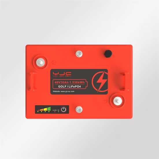 Batteria al Litio Ferro Fosfato LiFePO4 per Carrello Elevatore Elettrico, Agv